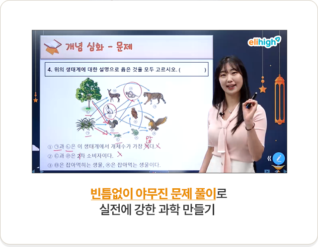 ��ƴ���� �߹��� ���� Ǯ�̷� ������ ���� ���� �����