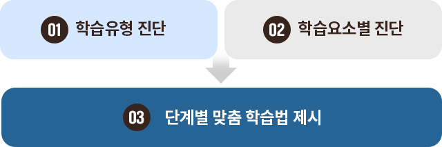 01 학습유형 진단 / 02 학습요소별 진단 = 03 단계별 맞춤 학습법 제시
