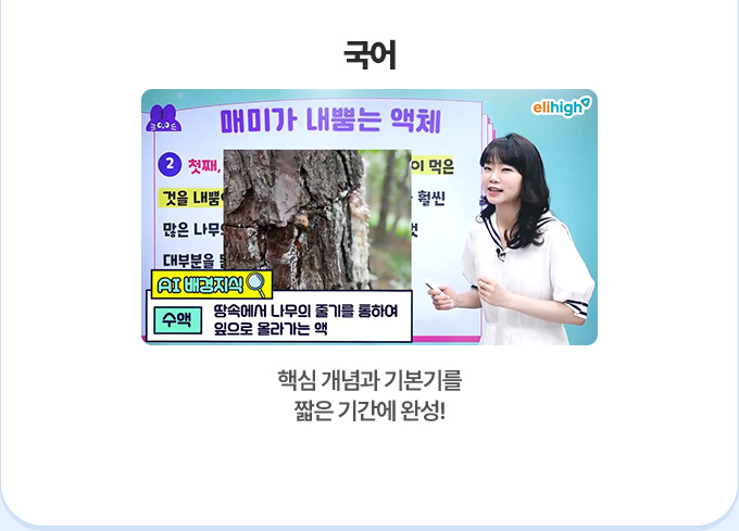 ���� - �ٽ� ����� �⺻�⸦ ª�� �Ⱓ�� �ϼ�!