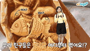 ������ ���ط� �̸�����