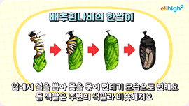 ����ְ� �ϼ��ϴ� ���� ���� ���� �̸�����