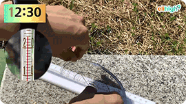 ���� ����ִ� �������� �н� ��� ����! �̸�����