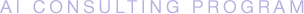 AI CONSULTING PROGRAM